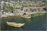 Lake Titicaca, Bolivia 1986