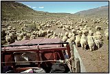 Along the Carretera Austral, Patagonia, Chile 1997