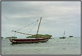 A dau, Lamu, Kenya 2000