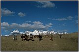 The Cordilleras in Peru - Mt. Ausangate 1986