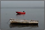 Roque Bluffs, Maine 2011