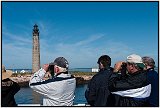 Searching for whales, Maine 2011